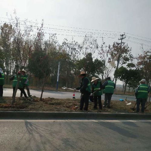 經(jīng)開區(qū)市政園林綠化工程推薦 秋樂園林，價格優(yōu)惠助力城市綠化管理