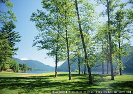 城市綠化管理 從草坪圖片到園林景觀設(shè)計(jì)施工圖紙全方位解析