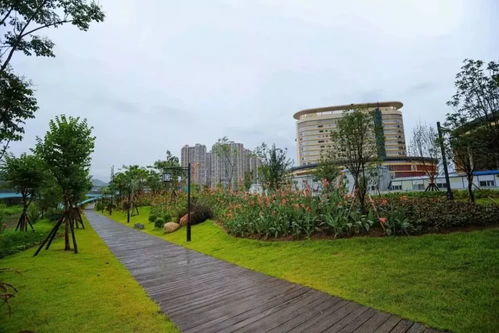 《龍巖市城市綠化條例》2020年施行 綠化帶禁止停車種菜，規(guī)范園林綠化工程施工