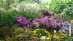 園林綠化工程全流程資料指南 從設(shè)計圖紙到實景落成