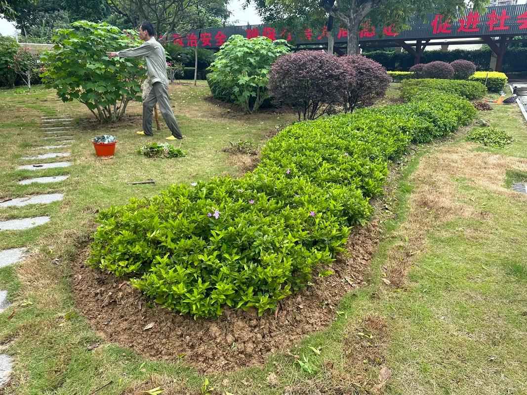 深耕園林養(yǎng)護與苗木產(chǎn)業(yè)，共筑城市綠色生態(tài)未來