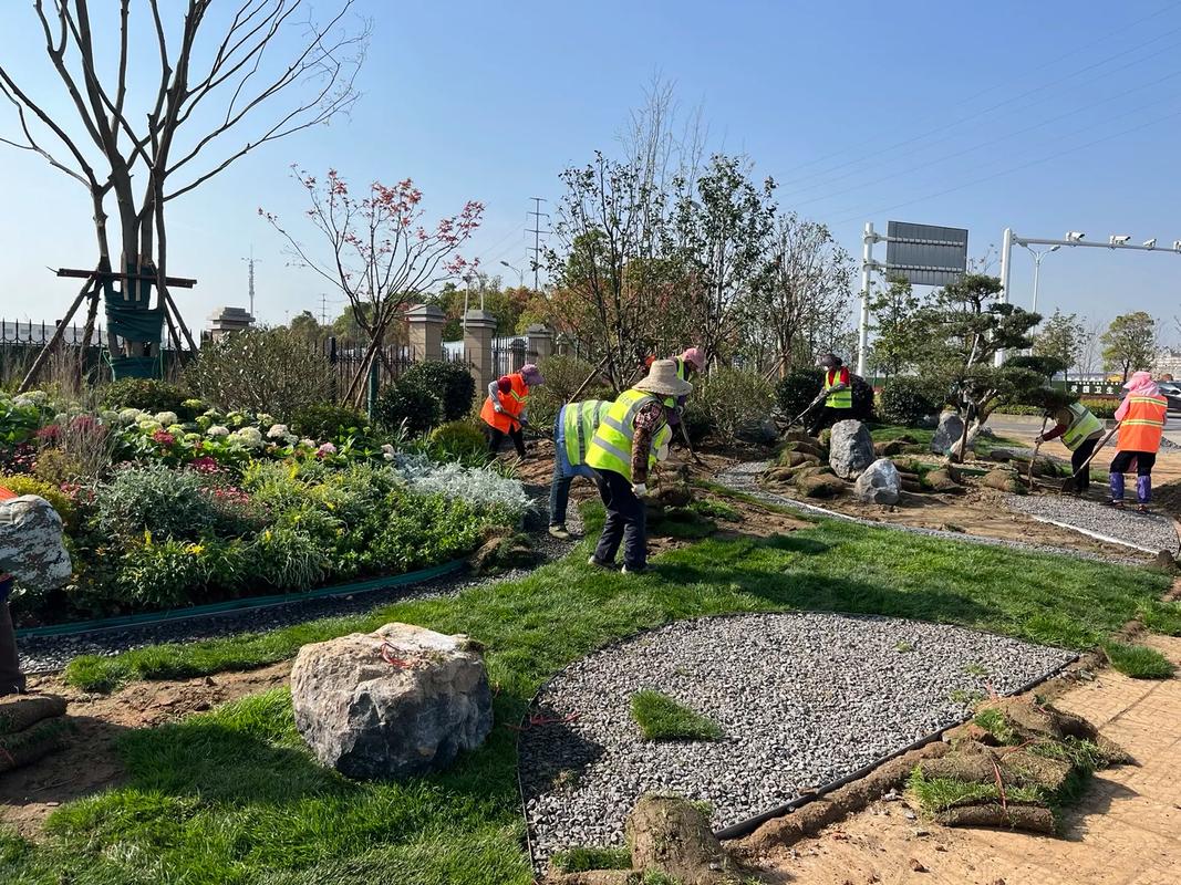 園林綠化工程施工現(xiàn)場(chǎng)實(shí)拍 匠心營(yíng)造綠色家園