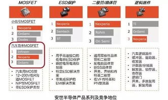 董明珠與雷軍 不同賽道上的戰(zhàn)略選擇與商業(yè)啟示